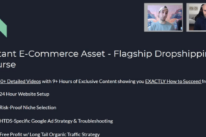 Build Assets Online – Elite Fleet Plus Download Download