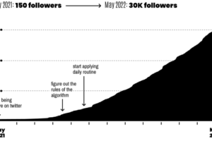 Dagobert Renouf – How To Dominate Twitter (Advanced Growth Bundle) Download Download