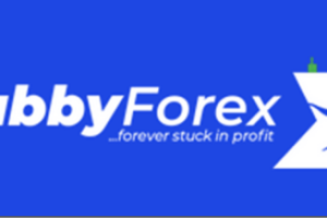 Habby Forex Trading Academy – A Complete Beginner to Advanced Trading Mentorship Program Download Download