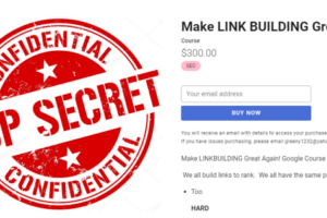 Holly Starks – Make LINK BUILDING Great Again! Download Download