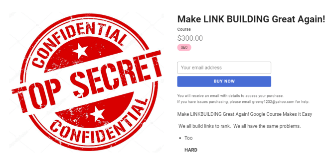 Holly Starks – Make LINK BUILDING Great Again! Download Download