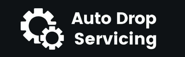 Ricky Mataka – Auto Drop Servicing Download Download