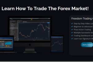 Freedom Trading Course – Financial Freedom Trading Download Download