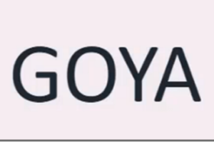 Goya Advanced Course 2023 – Sam9y Download Download