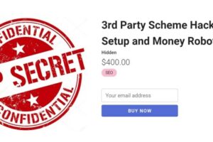 Holly Starks – 3rd Party Scheme Hack + GSA Setup and Money Robot Setup Download Download