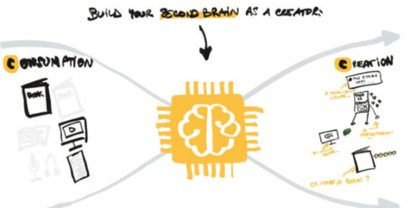 Matt Giaro – Second Brain For Content Creators Download Download