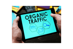 Organic Acceleration – How I turned $20 to 7 figs with Organic Traffic Download Download