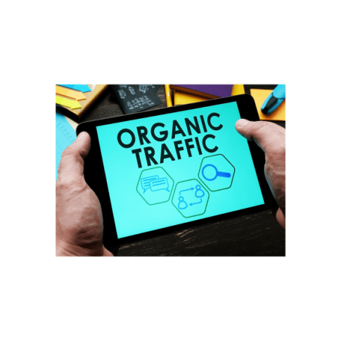 Organic Acceleration – How I turned $20 to 7 figs with Organic Traffic Download Download