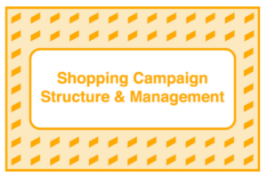 Take Some Risk – Shopping Campaign Structure and Management Download Download