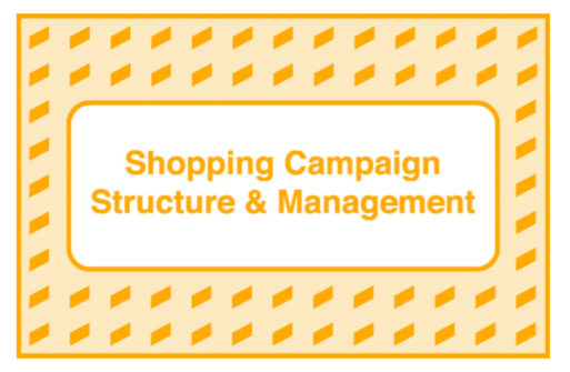 Take Some Risk – Shopping Campaign Structure and Management Download Download