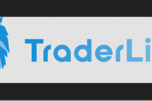 Traderlion – Private Access Pro Webinars 2021-2022 Download Download