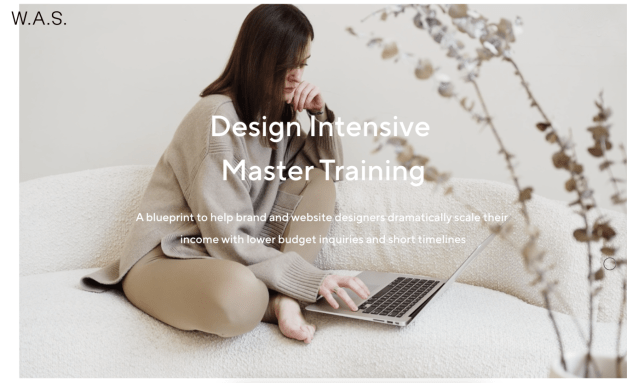 White and Salt – Design Intensive Master Training Download Download