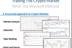 Wyckoff Analytics – Trading the Crypto Market with the Wyckoff Method Download Download